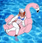 anthro bear bikini breasts clothing female fur gender_transformation hair hi_res hybrid kiri-anko looking_at_viewer male mammal mid_transformation pawpads paws pool pool_toy smile solo swimming_pool swimwear tight_clothing transformation two-piece two-piece_swimsuit