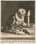 1625 17th_century absurd_res ancient_art avian beak biped bird book candle candlelight claws cornelis_bloemaert dutch_text eyewear feathered_wings feathers feral fire glasses greyscale hi_res inside light male monochrome nude open_book owl public_domain solo standing tail tail_feathers text toe_claws traditional_media_(artwork) translated wings