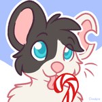 1:1 2020 anthro black_body black_fur blue_eyes bust_portrait candy candy_cane clip_studio_paint_(artwork) cloudpie conditional_dnp dessert digital_drawing_(artwork) digital_media_(artwork) eyebrows flat_colors food fur head_tuft icon licking_candy licking_candy_cane licking_food male mammal mouse murid murine notched_ear outline pink_inner_ear pink_nose pink_tongue portrait rodent solo tongue tuft white_body white_fur white_outline