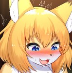 2024 anthro blonde_hair blue_eyes blush bodily_fluids brown_body brown_fur canid canine cropped cute_fangs digital_media_(artwork) dipstick_ears ear_markings female female_anthro flying_sweatdrops fox fox_next_door_(horokusa) fur hair horokusa0519 icon inner_ear_fluff kemono looking_down mammal multicolored_ears open_mouth reaction_image short_hair solo sweat sweatdrop tongue tuft white_body white_fur yellow_body yellow_fur