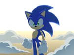 4:3 5_fingers anthro black_nose blue_body blue_fur clothing countershade_fur countershading eulipotyphlan fingers fist fronkus fur gloves green_eyes grin grinning_at_viewer handwear hedgehog hi_res looking_at_viewer male mammal redraw sega shaded signature simple_background simple_shading smile smiling_at_viewer smirk smirking_at_viewer solo sonic_the_hedgehog sonic_the_hedgehog_(series) sonic_x standing tan_body tan_countershading tan_fur toony white_clothing white_gloves white_handwear