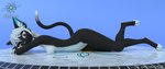Rating: q
ID: 5242944
Date: 2024-12-14 17:44:02 -0500
Status: active
Score: 3
3d_(artwork) absurd_res anthro black_body black_tail blue_ears blue_nails blue_nose breasts brown_eyes celces_(artist) colored_nails digital_media_(artwork) ears_up eyebrows eyelashes felid feline female fur hair hi_res looking_at_viewer mammal minu_(celces) nails pose solo tail thin_tail white_body white_fur white_hair post #5242944