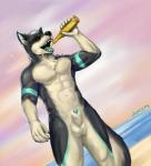 2019 5_fingers abs absurd_res alcohol animal_genitalia anthro balls beach beer beverage biceps biped black_body black_claws black_fur black_nose black_tail bottle canid canine canis casual_nudity claws container countershading detailed_background digital_media_(artwork) domestic_dog drinking dutch_angle eyewear fingers front_view fur genitals green_penis green_tongue hair hi_res holding_bottle holding_container holding_object husky juice_(character) juiceps male mammal multicolored_body multicolored_fur multicolored_tail muscular muscular_anthro muscular_male navel nordic_sled_dog nude open_mouth outside pecs penis penis_tip sea seaside sheath short_hair signature solo spitz standing sunglasses tail teeth tongue two_tone_body two_tone_fur two_tone_tail water white_balls white_body white_fur white_hair white_sheath white_tail