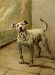 Rating: e
ID: 5552201
Date: 2025-05-06 01:47:02 -0400
Status: active
Score: 3
1910 20th_century ancient_art animal_genitalia animal_penis bull_terrier canid canine canine_genitalia canine_penis canis domestic_dog erection feet feral full-length_portrait fur genitals hunting_dog inside male mammal maud_earl mouth_closed penis portrait raised_tail shaded shadow sheath signature snout soft_shading solo standing tail terrier toes traditional_media_(artwork) white_body white_fur post #5552201