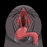 post #4953711