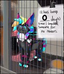 2023 absurd_res ambiguous_gender cage caged ear_piercing english_text felid feline feral fur hair hi_res humor looking_aside mammal multicolored_body multicolored_fur multicolored_hair piercing sign solo sparklefur standing text thecatherd