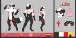 absurd_res anthro axton border_collie canid canine canis collie domestic_dog herding_dog hi_res male mammal model_sheet muscular pastoral_dog rubypandaarts sheepdog solo