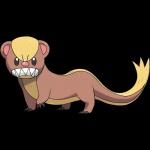 1:1 2016 alpha_channel ambiguous_gender brown_body brown_fur feral fur generation_7_pokemon hi_res looking_at_viewer nintendo official_art pokemon pokemon_(species) sharp_teeth simple_background solo teeth unknown_artist yungoos