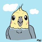 Rating: s
ID: 5597953
Date: 2025-05-25 17:14:58 -0400
Status: active
Score: 7
1:1 absurd_res ambiguous_gender anthro avian beak bird black_eyes blue_background brown_eyes chest_tuft cloud cockatiel cockatoo feather_tuft feathers front_facing front_view grey_beak grey_body grey_feathers hi_res line_art malachite_(artist) male parrot portrait rosy_cheeks simple_background sky sky_background solo tuft yellow_body yellow_feathers post #5597953