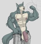 abs anthro balls beastars belt biceps big_balls big_muscles big_penis bottomwear canid canine canis clothed clothing flaccid flexing genitals hi_res huge_balls huge_muscles huge_penis humanoid_genitalia humanoid_penis legoshi_(beastars) male mammal muscular nipples open_bottomwear open_clothing open_pants pants pecs penis smile solo vein veiny_penis vexedlupine wolf