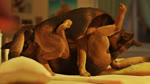 16:9 3d_(artwork) 3d_animation 69_position anal animated bedroom blender_(artwork) canid canine canis digital_media_(artwork) domestic_dog duo feral feral_on_feral feral_penetrated fur german_shepherd herding_dog huge_filesize long_playtime male male/male male_rimming_male mammal mutual_oral mutual_rimming night oral pastoral_dog penetration realistic_feral rimming sex sniffing sound trioami260 webm widescreen