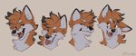 Rating: s
ID: 2982070
Date: 2021-10-19 03:46:36 -0400
Status: active
Score: 15
2021 ambiguous_gender black_nose brown_body brown_fur canid canine digital_media_(artwork) expression_sheet fox fur hair kitchiki mammal open_mouth orange_eyes smile solo teeth tongue tongue_out white_body white_fur post #2982070