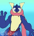 amphibian anthro bulge frog generation_6_pokemon greninja hi_res male nasthane nintendo pokemon pokemon_(species) solo