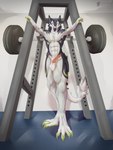 Rating: e
ID: 5545690
Date: 2025-05-03 07:04:37 -0400
Status: active
Score: 17
abs absurd_res anthro athletic athletic_anthro athletic_male balls barbell biceps big_balls conditional_dnp erection exercise fingers fur genitals gym hi_res leg_muscles looking_at_viewer male muscular muscular_anthro muscular_male nude open_mouth pecs penis sergal sergal_penis smile smiling_at_viewer solo tail teremunart troglo_(troglotroll) weights white_body white_fur workout post #5545690