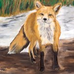 2012 amber_eyes ambiguous_gender black_nose canid canine digitigrade dipstick_tail feral fluffy fluffy_tail fox fur kola_(artist) leg_markings looking_at_viewer mammal markings mouth_closed nature nature_background oil_painting_(artwork) orange_body orange_fur outside quadruped red_body red_fox red_fur river socks_(marking) solo standing tail tail_markings traditional_media_(artwork) true_fox water white_body white_fur white_tail_tip