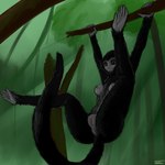 post #2938311