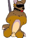 Rating: e
ID: 5623098
Date: 2025-06-05 19:08:10 -0400
Status: pending
Score: 6
4:5 animal_genitalia animal_penis anthro ball_gag bdsm blindfold bodily_fluids bondage bound bowman_ween_(artist) canid canine canine_genitalia canine_penis canis dripping ethiopian_wolf fifa gag genital_fluids genitals hi_res knot male mammal mascot penis penis_tip pole precum precum_drip presenting questionable_consent restraints slightly_chubby solo spreader_bar suspension zabivaka post #5623098