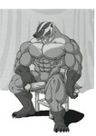 abs anthro badger big_muscles big_penis curtains furniture genitals hi_res humanoid_genitalia humanoid_penis male mammal muscular muscular_male mustelid musteline pecs penis sitting smile solo stool sudonym