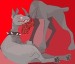 Rating: q
ID: 5545543
Date: 2025-05-03 04:44:15 -0400
Status: active
Score: 2
ambiguous_gender blood blood_on_face bodily_fluids canid canine canis collar domestic_dog duo feral guncht hi_res lying mammal on_side paws sharp_teeth smile teeth post #5545543