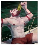 2024 abs anthro barazoku beard biceps big_muscles biped black_eyes boat border bottomwear canid canine canis clothed clothing eating ellixonn facial_hair food fruit fur grape hi_res looking_at_viewer male mammal muscular muscular_anthro muscular_male on_boat pecs plant red_beard red_bottomwear red_clothing red_facial_hair red_shorts shirtless_anthro shirtless_male shorts shorts_only solo topless vehicle watercraft white_body white_border white_fur wolf