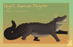 2022 alligator alligatorid ambiguous_gender american_alligator black_eyes crocodilian crown digital_media_(artwork) digital_painting_(artwork) english_text feral floating_crown full-length_portrait gradient_background grey_body grey_scales handwritten_text headgear hi_res jaspering open_mouth orange_text portrait reptile scales scalie shaded simple_background snout solo species_name tail teeth text