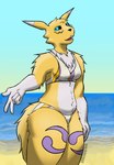 absurd_res anthro arm_tuft bandai_namco beach belly_fluff bikini bikini_bottom bikini_top breasts butt_fluff clothed clothing digimon digimon_(species) elbow_tuft female fluffy fluffy_tail hi_res neck_tuft renamon small_breasts solo swimwear tail trichternet tuft two-piece_swimsuit