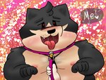 anthro belt big_breasts breasts canid canine canis dog_tags domestic_dog duo heart_symbol hi_res jess_(ugly-rat15508) male male/male mammal nipples nude open_mouth pubes slightly_chubby terrence_(ugly-rat15508) ugly-rat15508