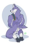 absurd_res anthro anus biped butt canid canine canis canyne capcom digital_media_(artwork) feet foot_focus hi_res kneeling male mammal masturbation monster_hunter nude palamute pawpads paws solo weirdmarks wolf