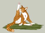 Rating: e
ID: 5599223
Date: 2025-05-26 06:56:15 -0400
Status: active
Score: 18
absurd_res animal_genitalia balls cheek_tuft cleaning digital_drawing_(artwork) digital_media_(artwork) domestic_cat duo eyes_closed facial_tuft felid feline feline_sheath felis feral fluffy fully_sheathed fur genitals grass hi_res inner_ear_fluff licking male mammal nature on_ground orange_body orange_fur outside pawpads paws plant pose presenting quadruped relaxing self_cleaning self_lick sheath signature simple_background spread_legs spreading stretching striped_body striped_fur stripes tongue tuft whiskers white_body white_fur whitecat post #5599223