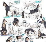 age_difference alternate_species canid canine canis collar dobermann domestic_dog duo feral furrification harvey_specter hybrid japanese_text kuvasz livestock_guardian_dog male male/male mammal mike_ross pastoral_dog pinscher size_difference suits_(tv_series) text unchan