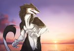 2014 anthro balthazar_(thorphax) black_body black_fur brown_body brown_fur digital_media_(artwork) fur male multicolored_body multicolored_fur nude orange_eyes rotarr sergal solo sunset tail white_body white_fur