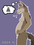 3:4 anthro belly billybobjoey blush bodily_fluids breasts breath canid canine canis coyote female flat_shading genitals green_eyes hi_res male_(lore) mammal neck_tuft nipples nude outline pregnant pregnant_anthro pregnant_female side_view simple_background solo speech_bubble sweat sweatdrop tail text thought_bubble tired tuft vector