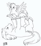 2015 avian black_and_white cutie_mark duo earth_pony equid equine european_mythology feathered_wings feathers female feral fetlocks goldfur's_cogsverse greek_mythology hasbro hippogriff hooves horse kacey long_path lucida_path male mammal monochrome my_little_pony mythological_avian mythological_creature mythology pony spread_wings tail upside_down wings