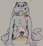 post #5568119