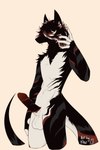 absurd_res anthro black_body black_fur canid countershade_torso countershading erection fingerless_(marking) fur genitals hair hair_over_eyes hi_res humanoid_genitalia humanoid_penis kaiwhero male mammal nude penis simple_background solo standing