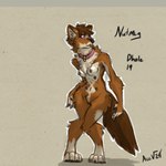 1:1 2024 absurd_res acev anthro black_nipples canid canine chest_tuft collar collar_only dhole digitigrade female fluffy fluffy_tail hi_res inner_ear_fluff leg_markings looking_aside mammal markings multi_nipple nipples nude pink_collar prick_ears socks_(marking) tail tuft