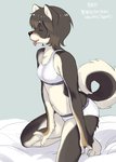 post #2644505