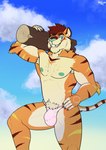 absurd_res anthro asian_clothing bulge clothing detailed_bulge east_asian_clothing felid fundoshi hi_res japanese_clothing jockstrap male mammal nipples pantherine scorgre solo tiger underwear whiskyshot