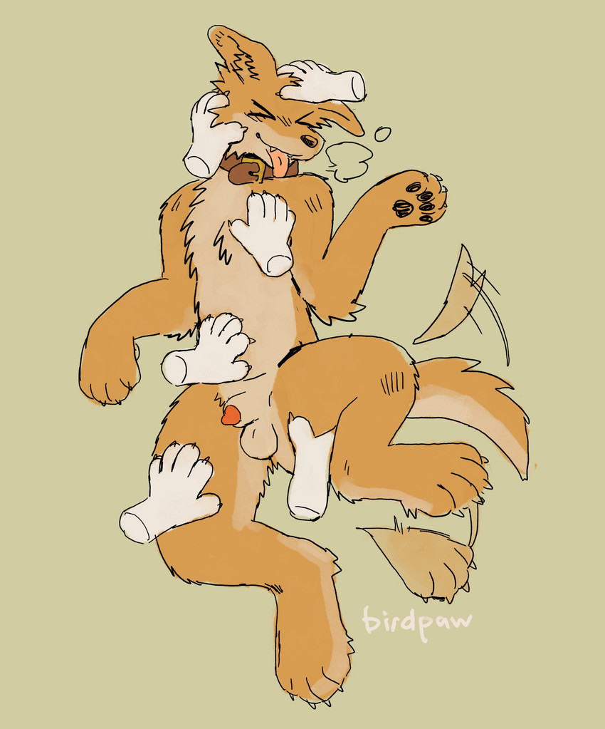 created by birdpaw (artist)