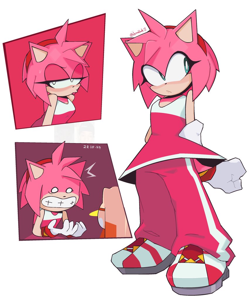 amy rose (sonic the hedgehog (series) and etc) created by dynablade2