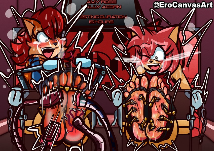 amy rose and sally acorn (sonic the hedgehog (archie) and etc) created by cabimangaka and erocanvasart