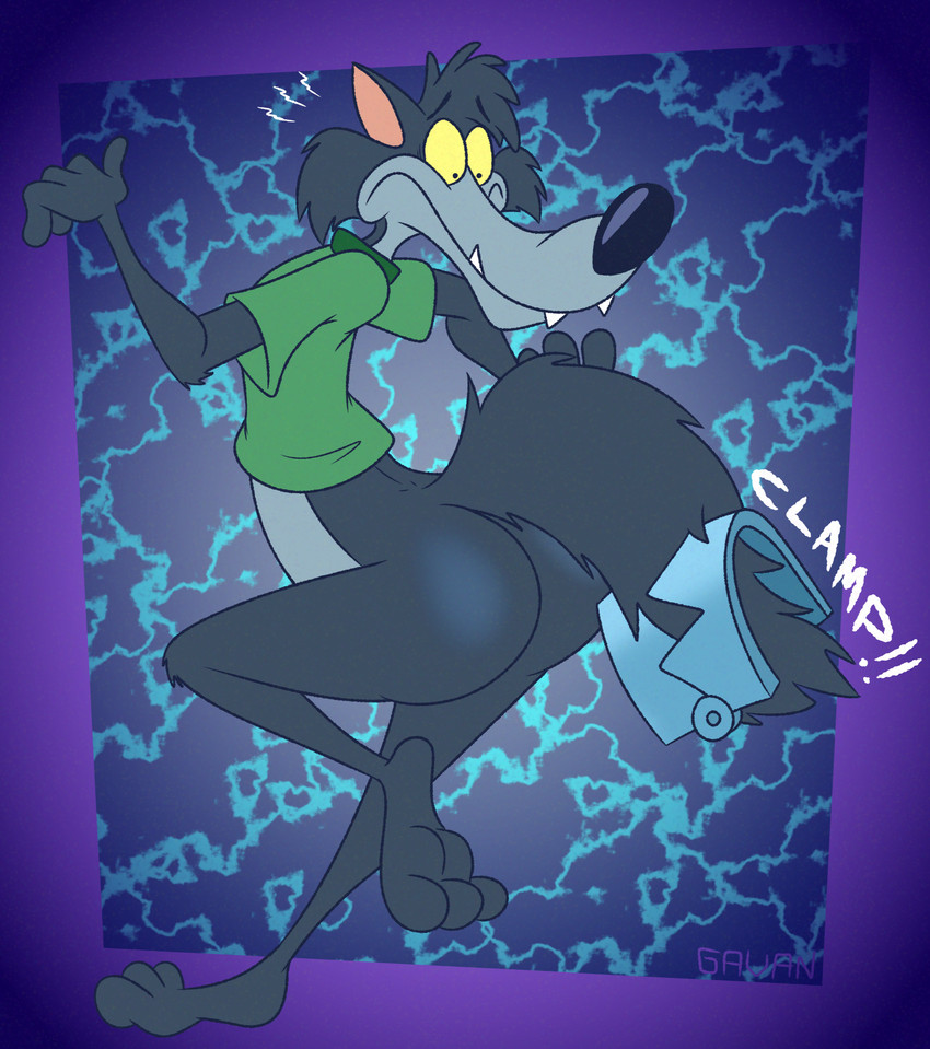 wolf (wolf and gopher and etc) created by gavanzude