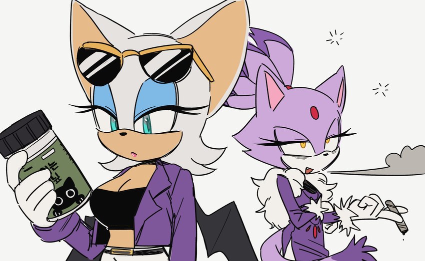 blaze the cat and rouge the bat (sonic the hedgehog (series) and etc) created by roastedgarlics2