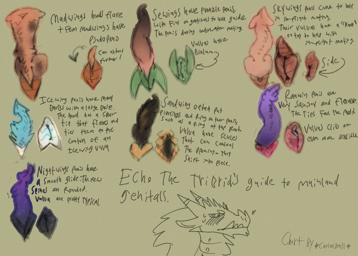 wings of fire and etc created by pinatareaper