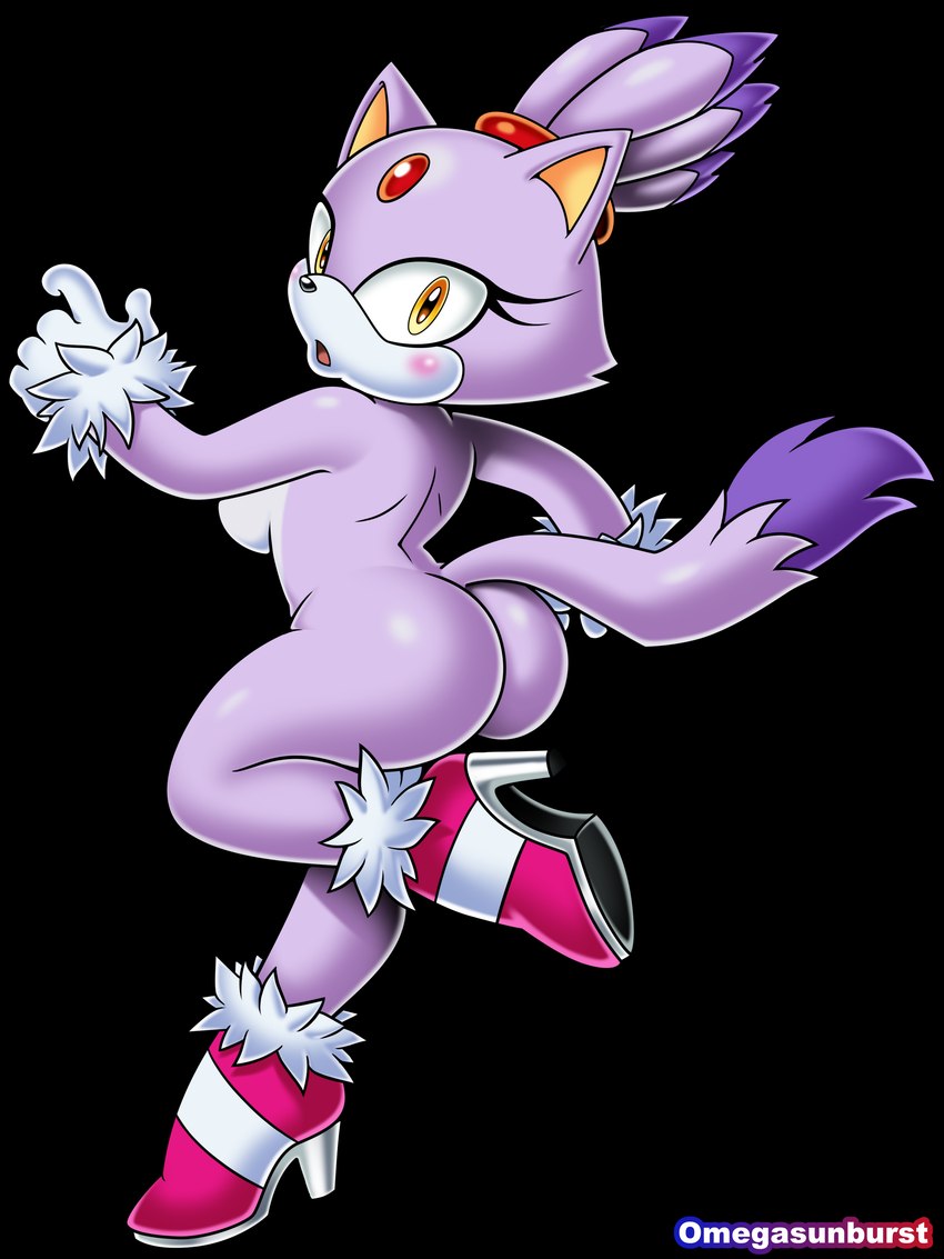 blaze the cat (sonic the hedgehog (series) and etc) created by omegasunburst