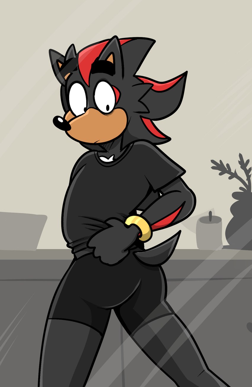 shadow the hedgehog (sonic the hedgehog (series) and etc) created by beastofeuthanasia