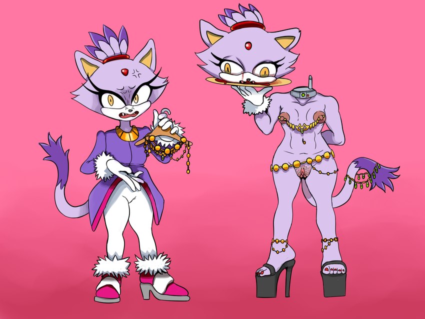 blaze the cat (sonic the hedgehog (series) and etc) created by deathheadmoth00