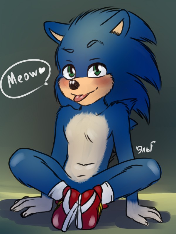 sonic the hedgehog and ugly sonic (sonic the hedgehog (series) and etc) created by krazyelf