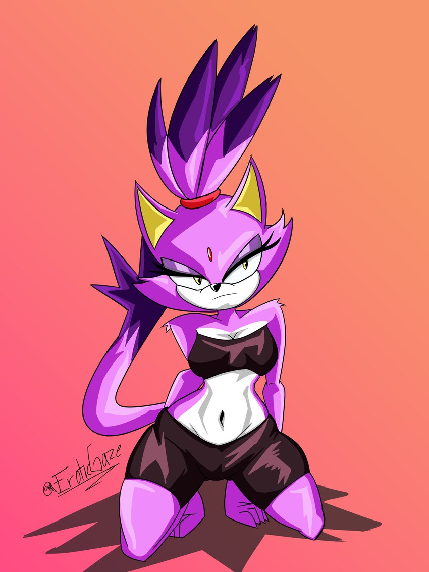 blaze the cat (sonic the hedgehog (archie) and etc) created by eroticgaze