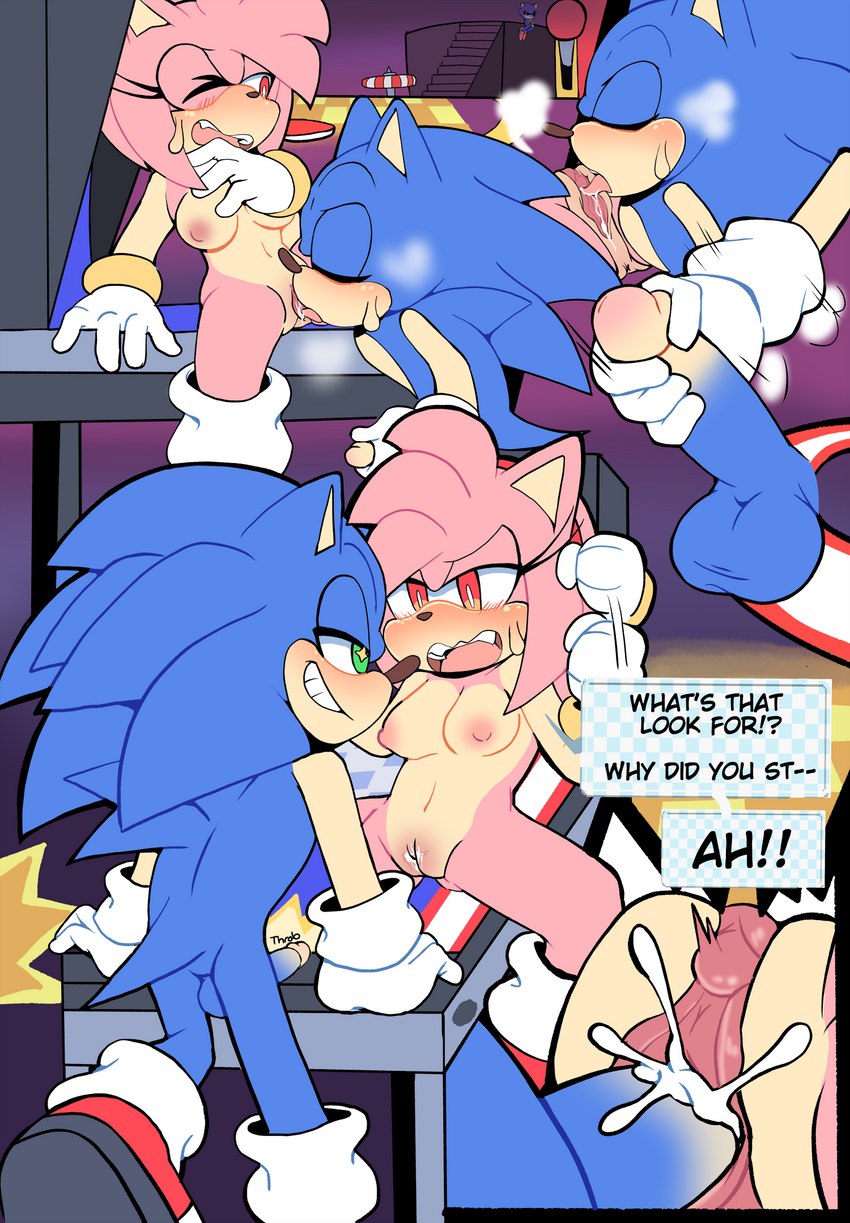 amy rose and sonic the hedgehog (sonic the hedgehog (series) and etc) created by senshion